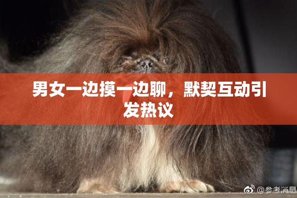 男女一边摸一边聊，默契互动引发热议