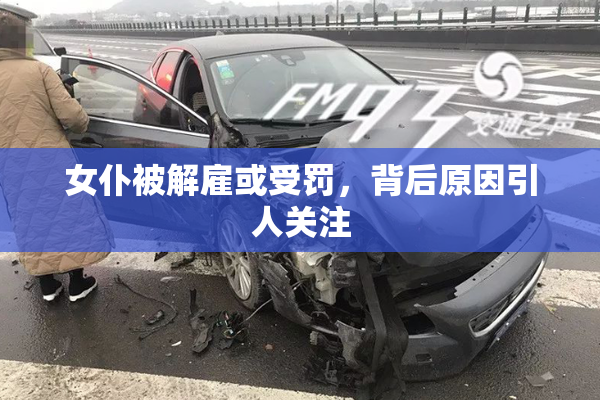 女仆被解雇或受罚，背后原因引人关注