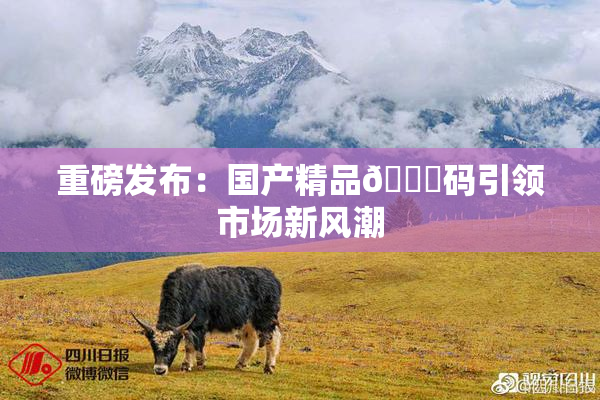 重磅发布：国产精品🈚码引领市场新风潮