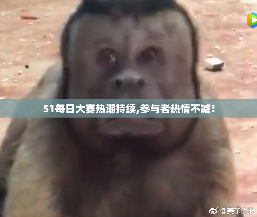 51每日大赛热潮持续,参与者热情不减！