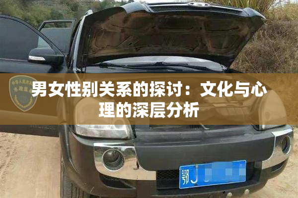 男女性别关系的探讨：文化与心理的深层分析