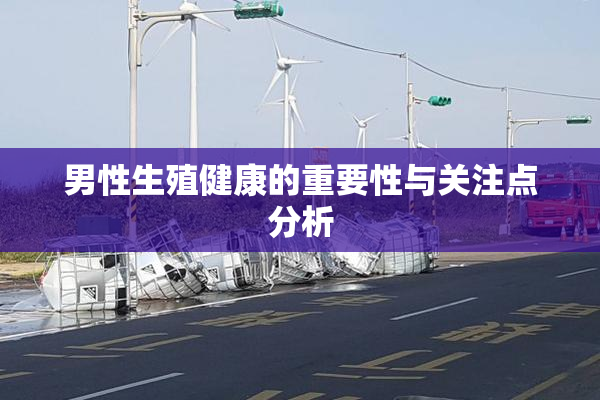 男性生殖健康的重要性与关注点分析
