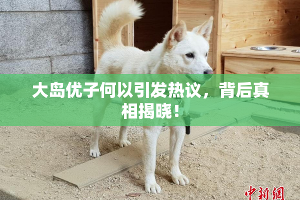 大岛优子何以引发热议，背后真相揭晓！