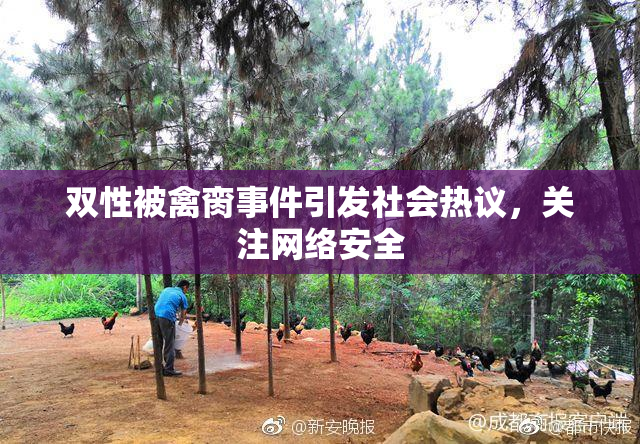 双性被禽脔事件引发社会热议，关注网络安全
