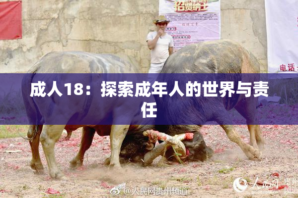 成人18：探索成年人的世界与责任
