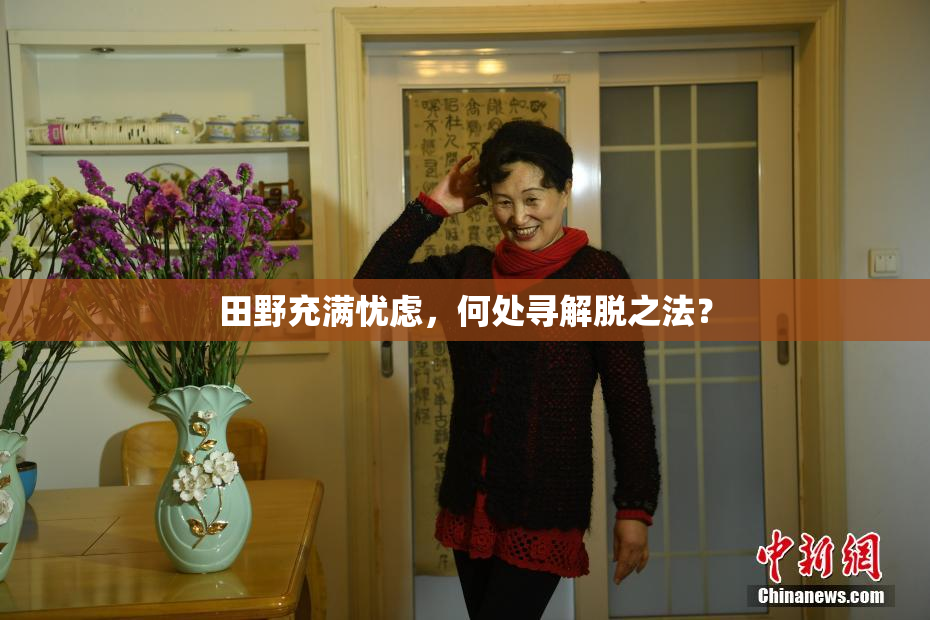 田野充满忧虑，何处寻解脱之法？