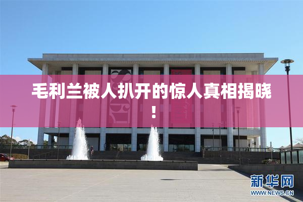 毛利兰被人扒开的惊人真相揭晓！