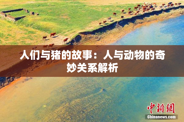 人们与猪的故事：人与动物的奇妙关系解析