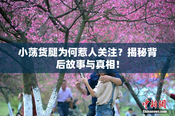 小荡货腿为何惹人关注？揭秘背后故事与真相！