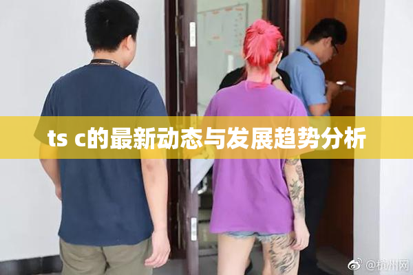 ts c的最新动态与发展趋势分析