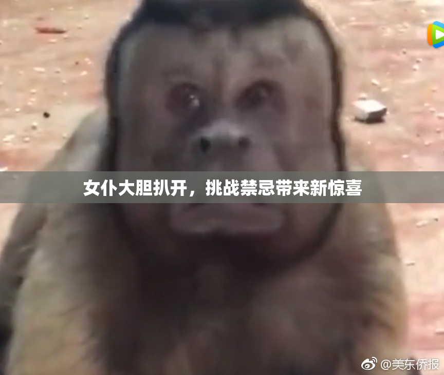 女仆大胆扒开，挑战禁忌带来新惊喜