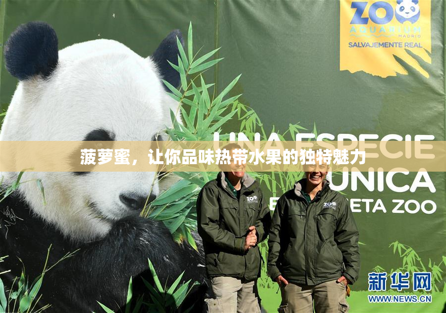菠萝蜜，让你品味热带水果的独特魅力