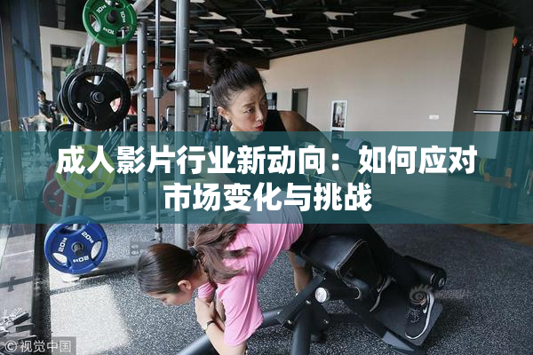 成人影片行业新动向：如何应对市场变化与挑战