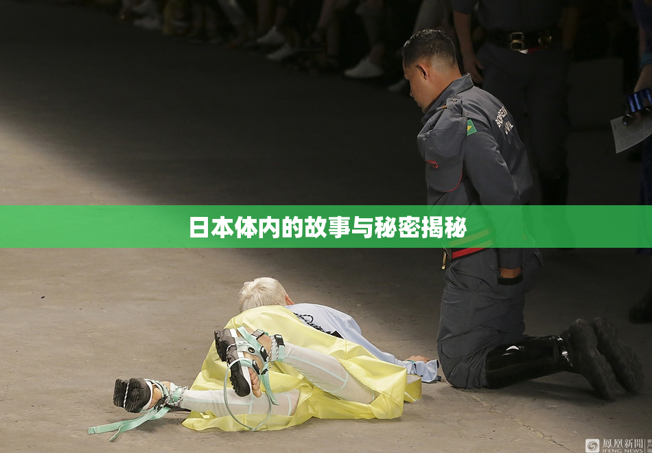 日本体内的故事与秘密揭秘