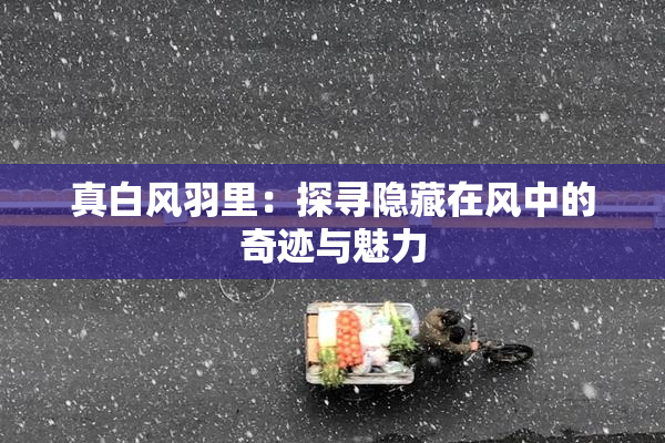 真白风羽里：探寻隐藏在风中的奇迹与魅力