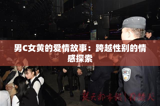 男C女黄的爱情故事：跨越性别的情感探索