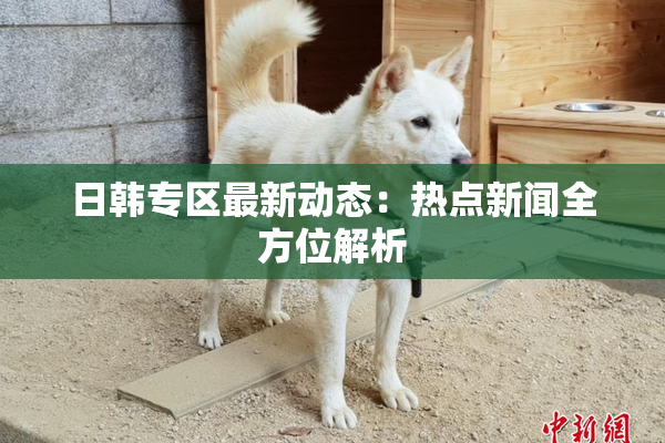 日韩专区最新动态：热点新闻全方位解析