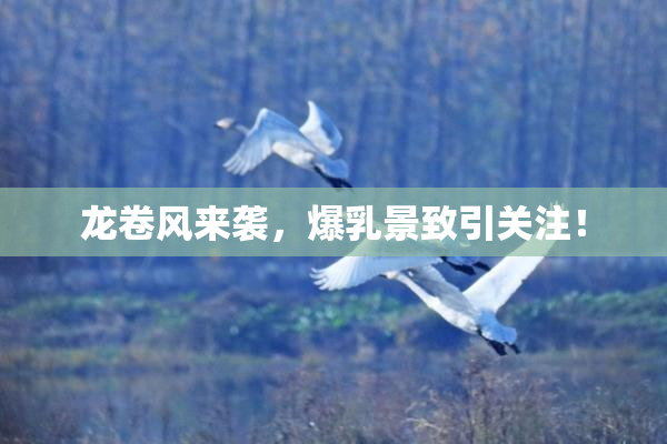 龙卷风来袭，爆乳景致引关注！