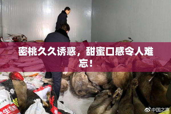 密桃久久诱惑，甜蜜口感令人难忘！