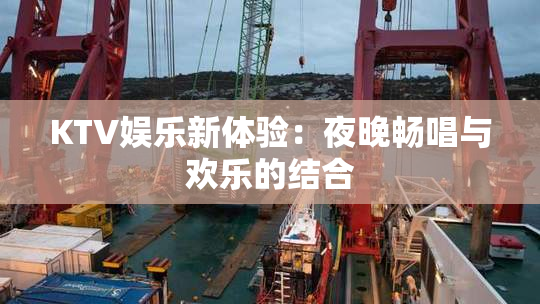KTV娱乐新体验：夜晚畅唱与欢乐的结合