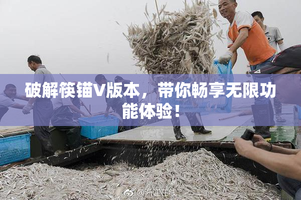 破解筷锚V版本，带你畅享无限功能体验！