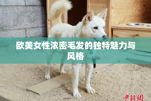欧美女性浓密毛发的独特魅力与风格