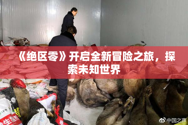 《绝区零》开启全新冒险之旅，探索未知世界