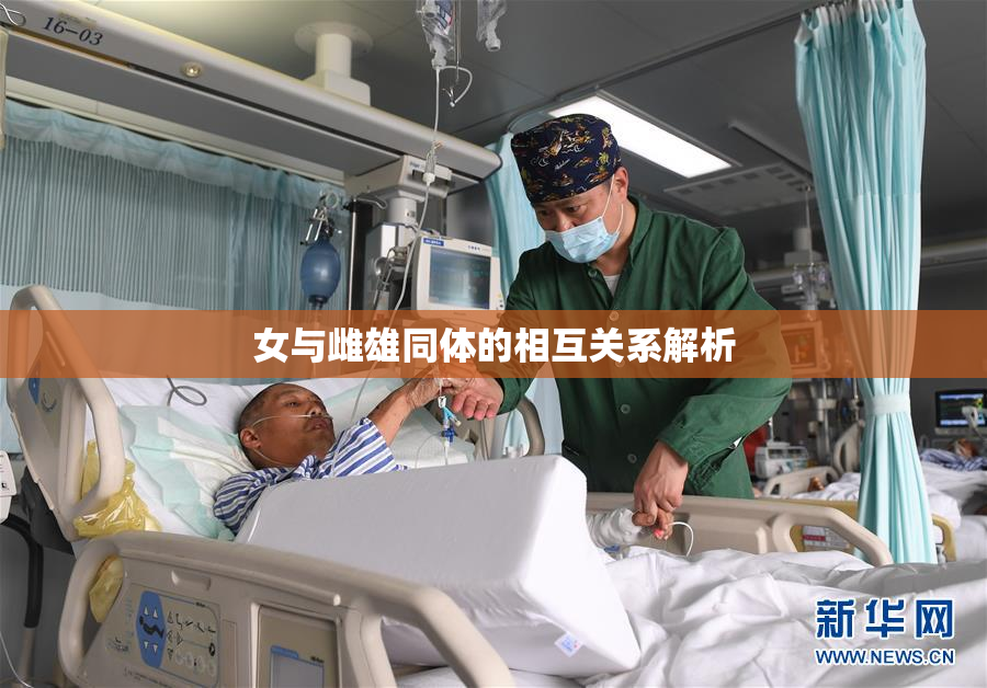 女与雌雄同体的相互关系解析