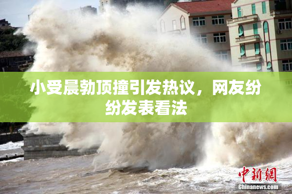 小受晨勃顶撞引发热议，网友纷纷发表看法