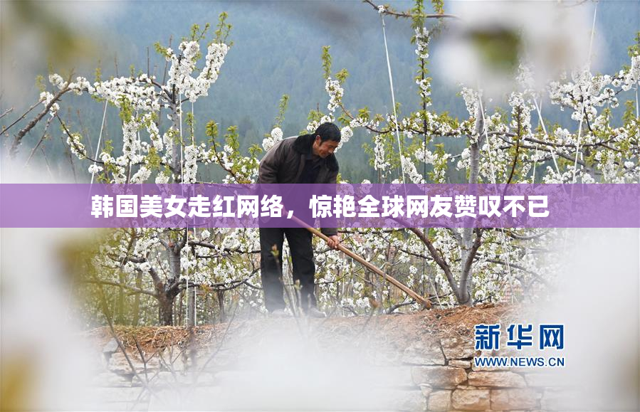 韩国美女走红网络，惊艳全球网友赞叹不已