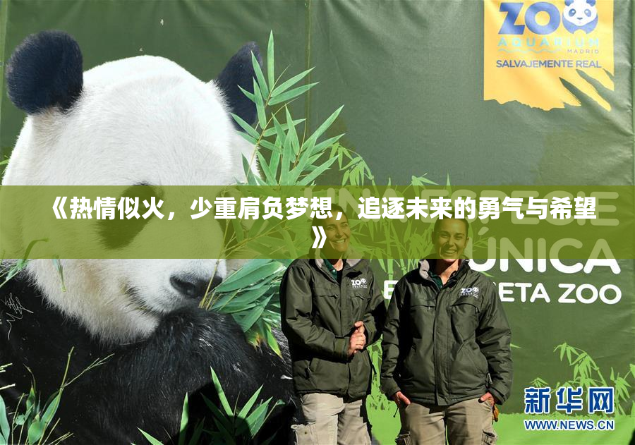 《热情似火，少重肩负梦想，追逐未来的勇气与希望》
