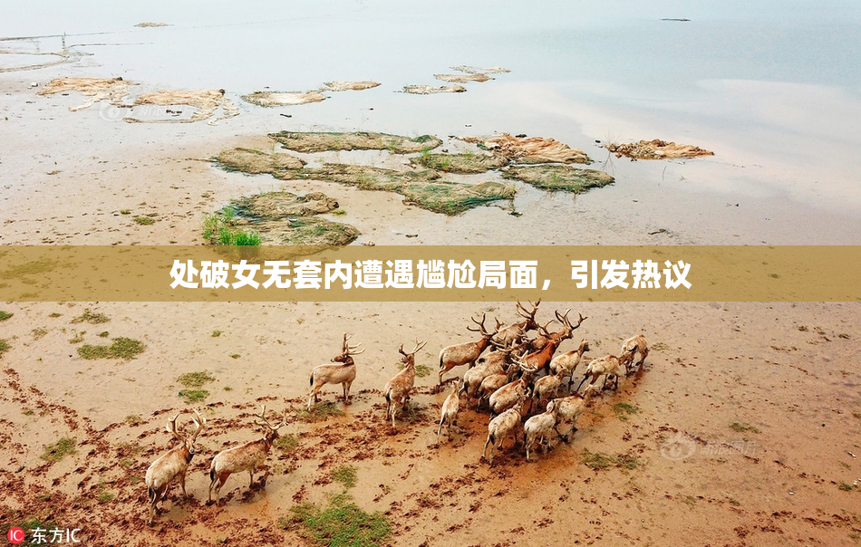 处破女无套内遭遇尴尬局面，引发热议