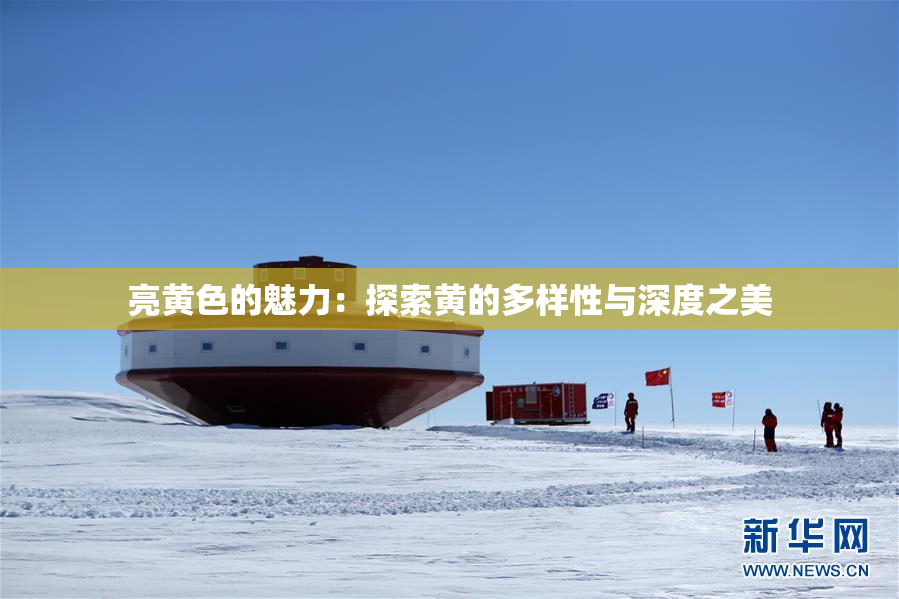 亮黄色的魅力：探索黄的多样性与深度之美