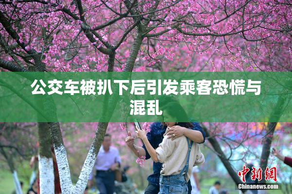 公交车被扒下后引发乘客恐慌与混乱