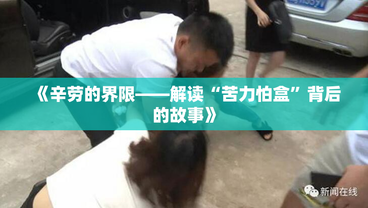《辛劳的界限——解读“苦力怕盒”背后的故事》