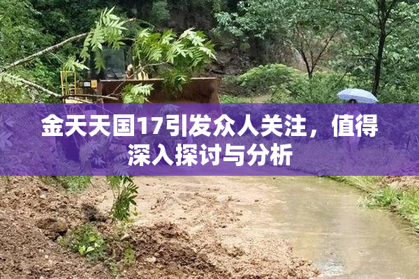 金天天国17引发众人关注，值得深入探讨与分析