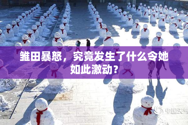 雏田暴怒，究竟发生了什么令她如此激动？