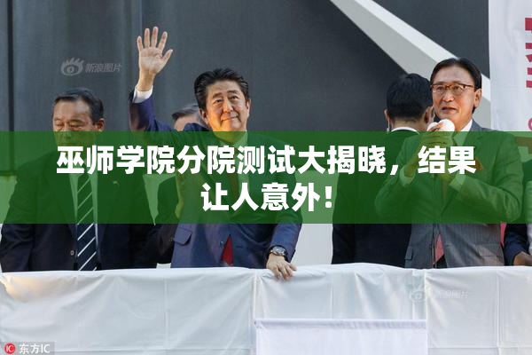 巫师学院分院测试大揭晓，结果让人意外！