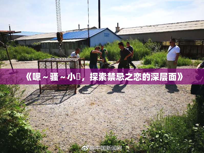 《嗯～骚～小婬，探索禁忌之恋的深层面》