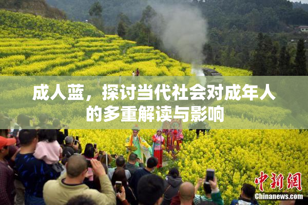 成人蓝，探讨当代社会对成年人的多重解读与影响