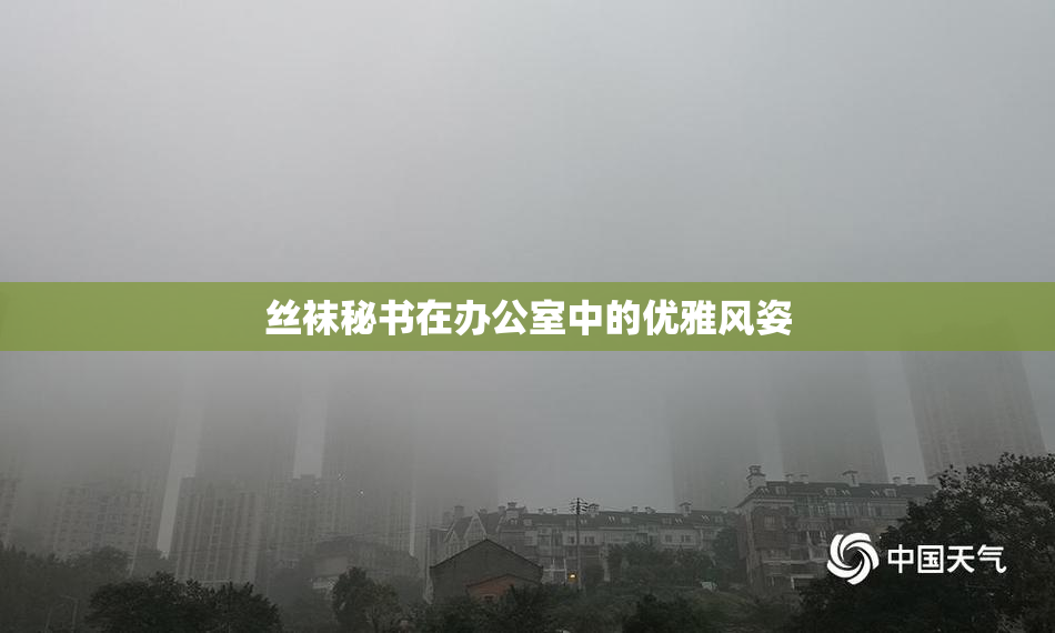 丝袜秘书在办公室中的优雅风姿