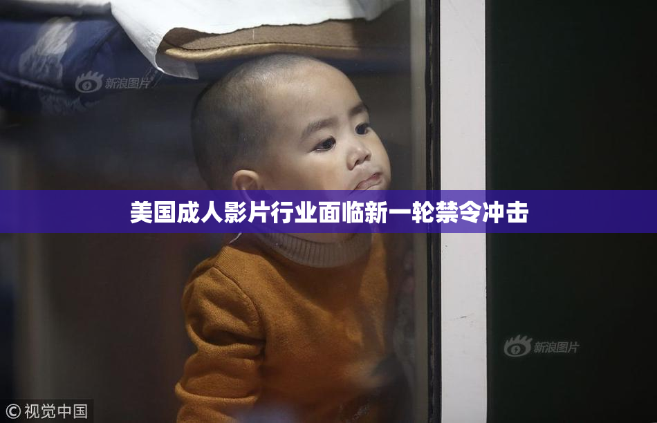 美国成人影片行业面临新一轮禁令冲击