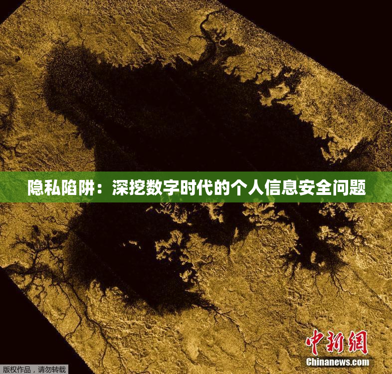 隐私陷阱：深挖数字时代的个人信息安全问题