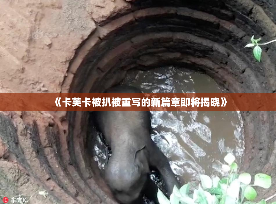 《卡芙卡被扒被重写的新篇章即将揭晓》