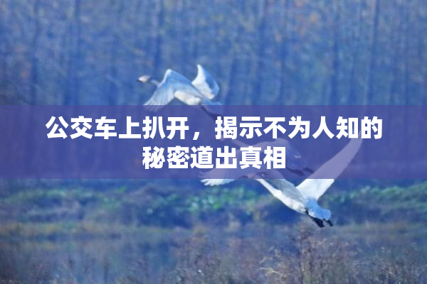 公交车上扒开，揭示不为人知的秘密道出真相