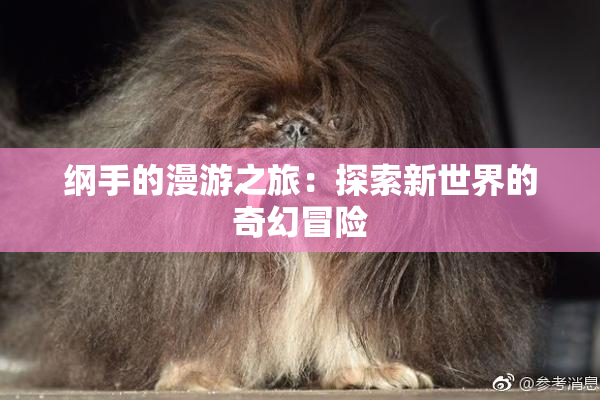 纲手的漫游之旅：探索新世界的奇幻冒险