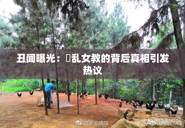 丑闻曝光：婬乱女教的背后真相引发热议
