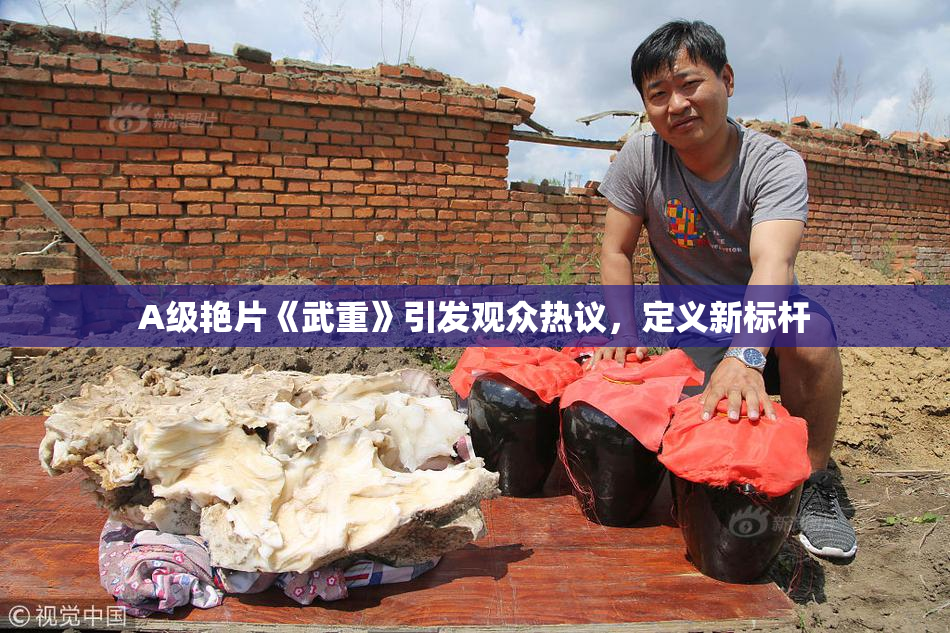 A级艳片《武重》引发观众热议，定义新标杆