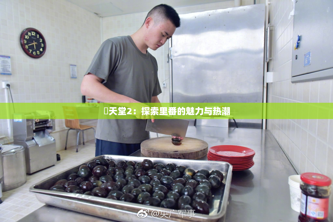 妺天堂2：探索里番的魅力与热潮