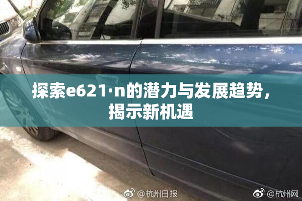 探索e621·n的潜力与发展趋势，揭示新机遇
